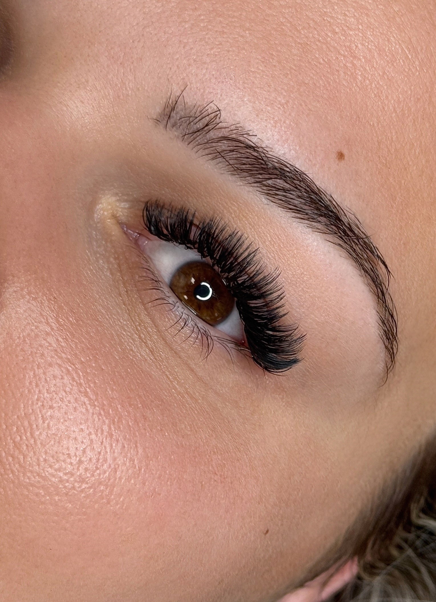 Gros plan d'extensions de cils volume russe — formation Lash Artist SEDA Designer